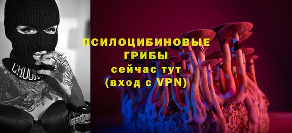 метадон Алексин