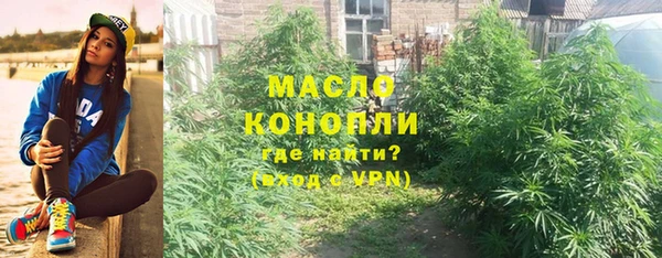 метадон Алексин