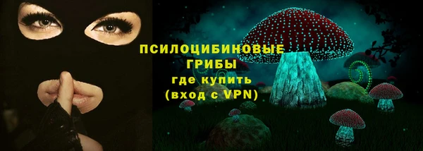 метадон Алексин