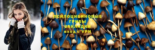 дмт Алзамай
