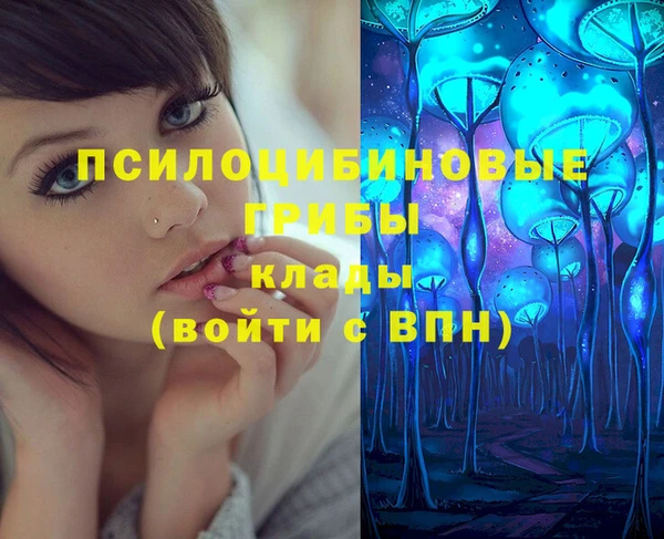 дмт Алзамай