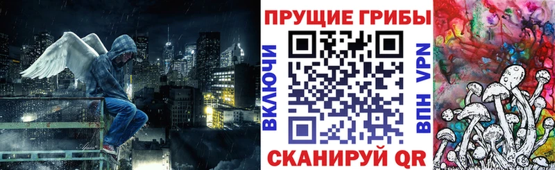 Галлюциногенные грибы Psilocybine cubensis Дзержинский