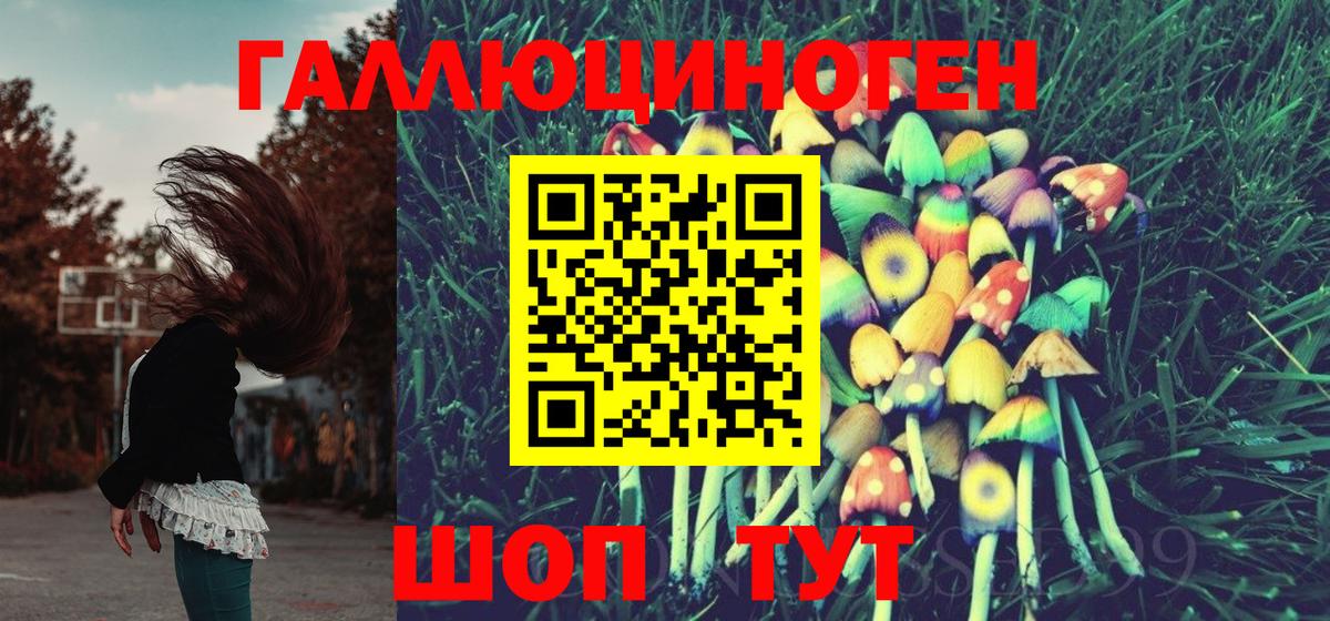 Галлюциногенные грибы прущие грибы  Псилоцибиновые грибы Cubensis  Дзержинский  где можно купить   Вход с VPN 