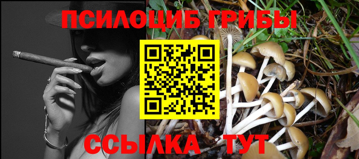 Галлюциногенные грибы Psilocybe Дзержинский