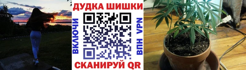 Шишки марихуана марихуана  mega ссылка  Дзержинский  купить  